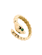 ANILLO CULEBRA