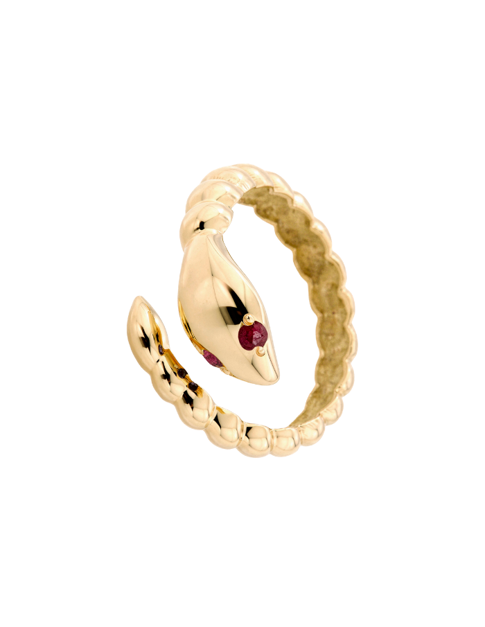 ANILLO CULEBRA