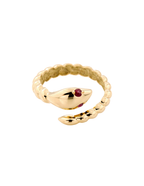 ANILLO CULEBRA